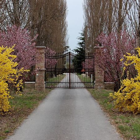 Agriturismo Corte Rocca San Giorgio di Mantova エクステリア 写真