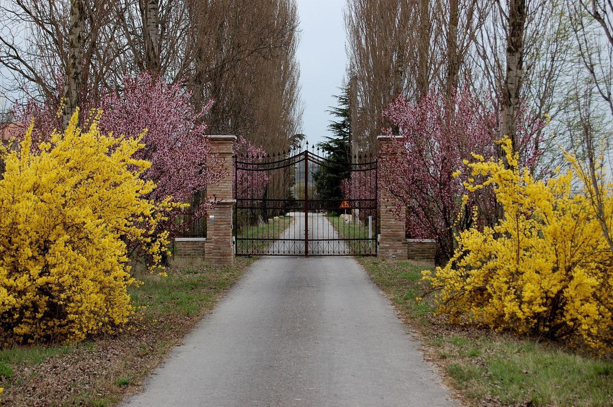 Agriturismo Corte Rocca San Giorgio di Mantova エクステリア 写真