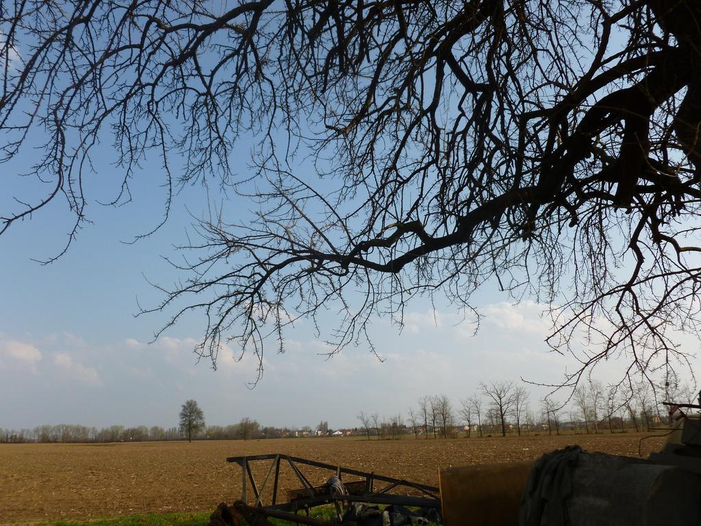 Agriturismo Corte Rocca San Giorgio di Mantova エクステリア 写真