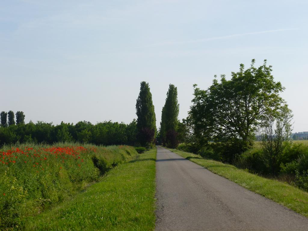 Agriturismo Corte Rocca San Giorgio di Mantova エクステリア 写真
