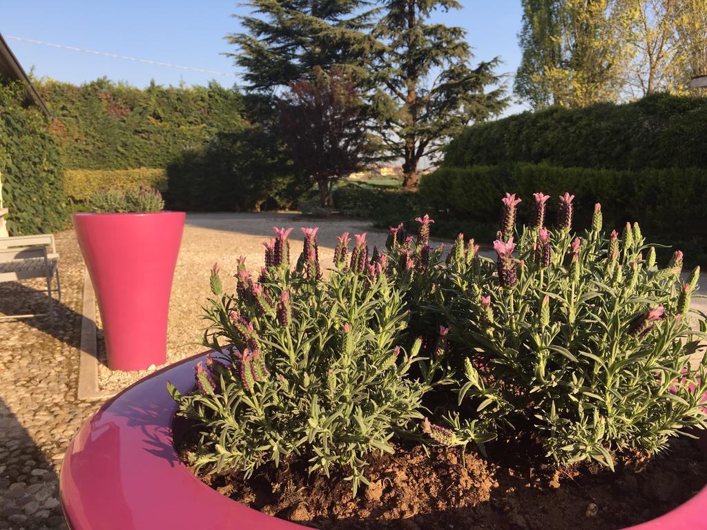 Agriturismo Corte Rocca San Giorgio di Mantova エクステリア 写真