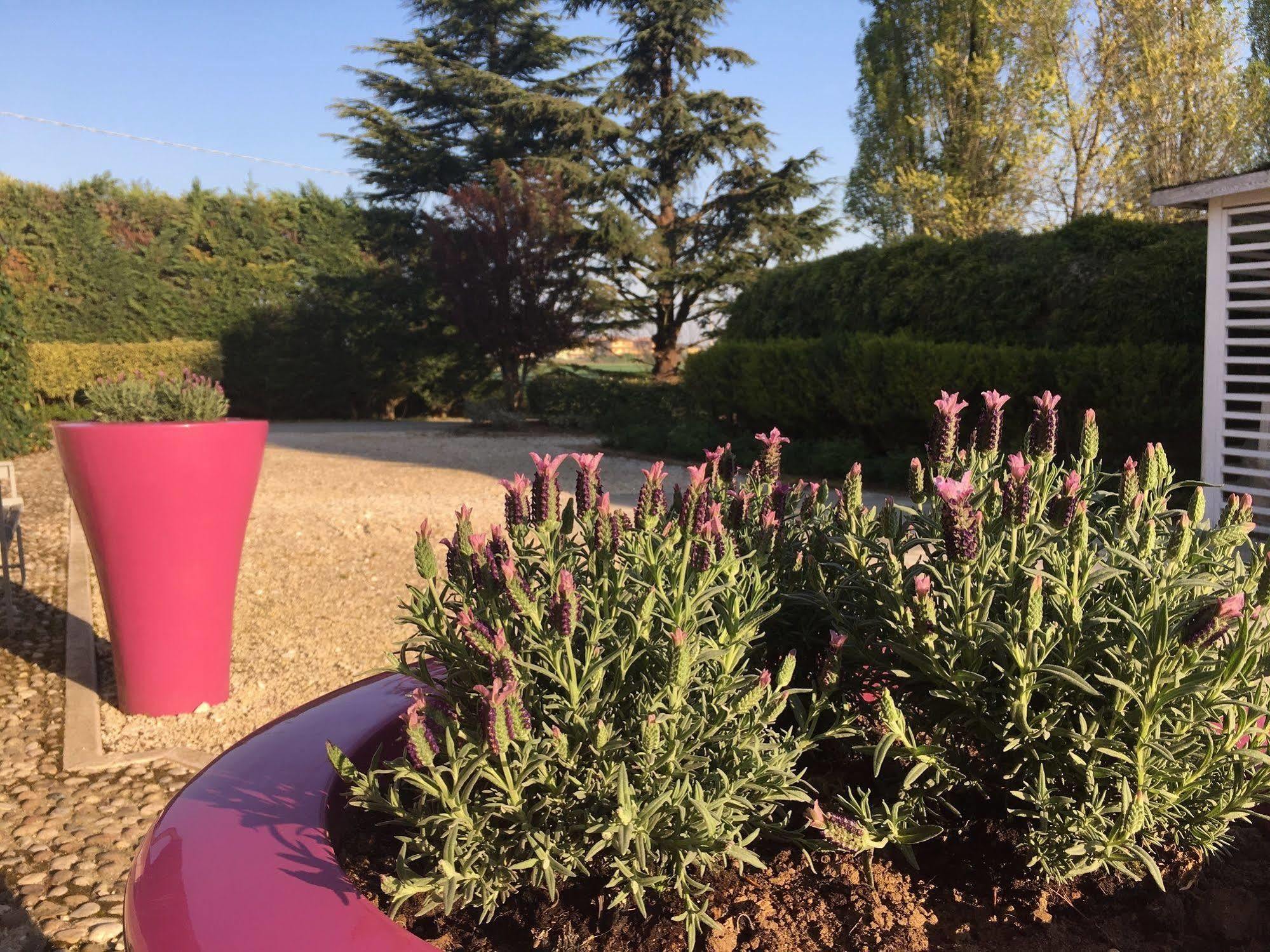 Agriturismo Corte Rocca San Giorgio di Mantova エクステリア 写真